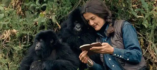 dian-fossey-and-gorillas
